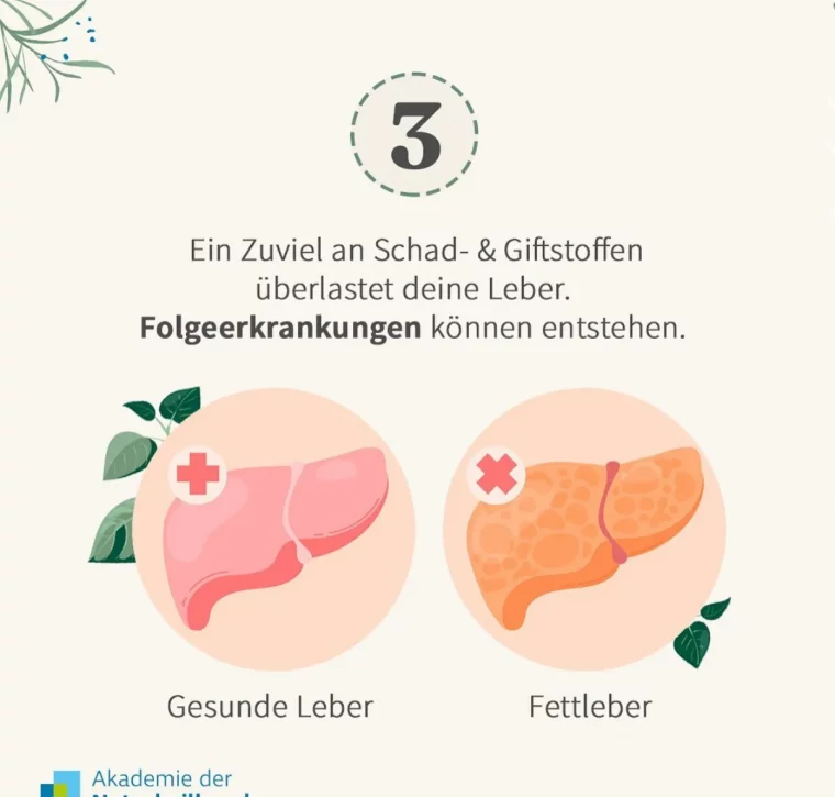 leber entgiften auf natürliche weise