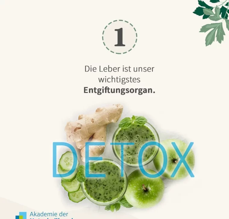 leber wichtigstes entgiftungsorgan aufgaben des organs