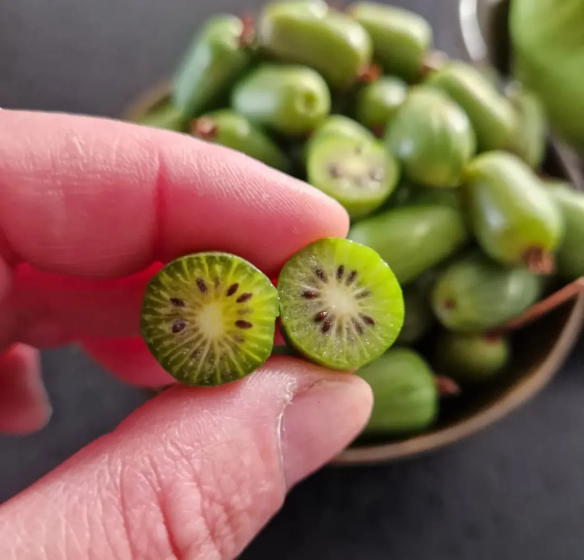 mini kiwis kleine früchte lecker mit essbarer schale