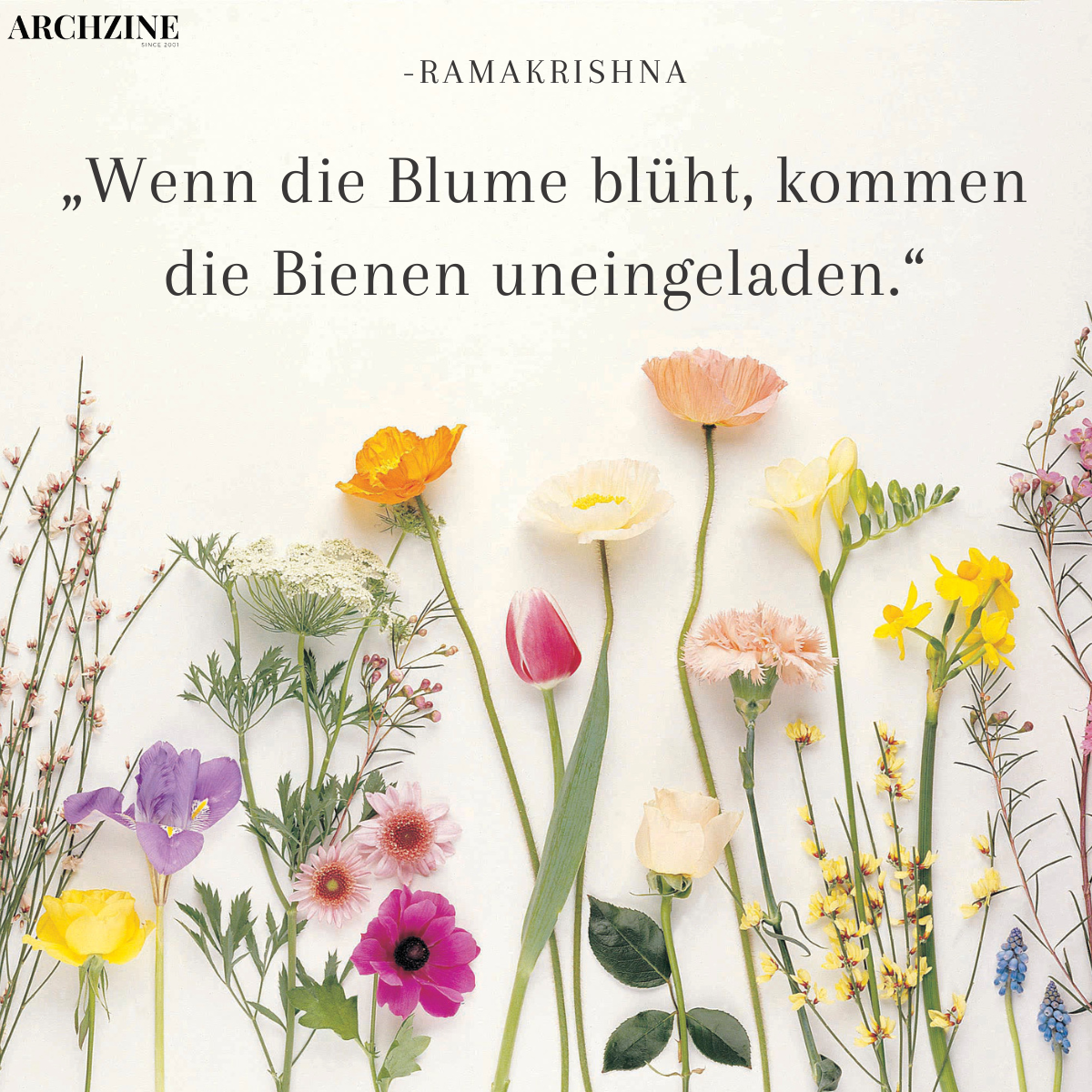 sprüche für blumen (1)