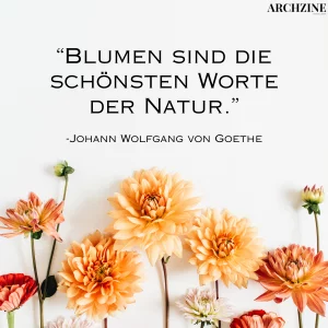 sprüche für blumen facebook