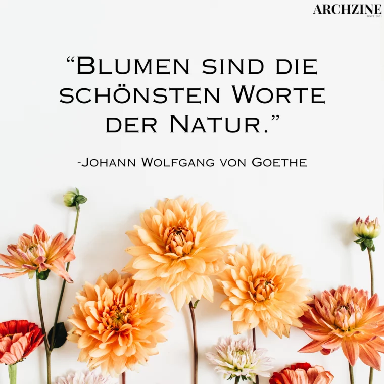 sprüche für blumen facebook