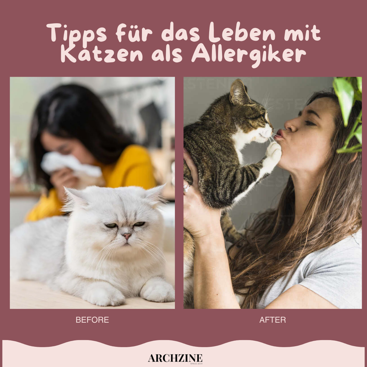 tipps fuer leben mit katzen als allergiker