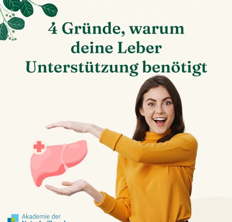 vier gründe warum deine leber unterstützung benötigt