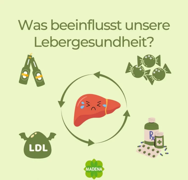 was beeinflusst unsere lebergesundheit