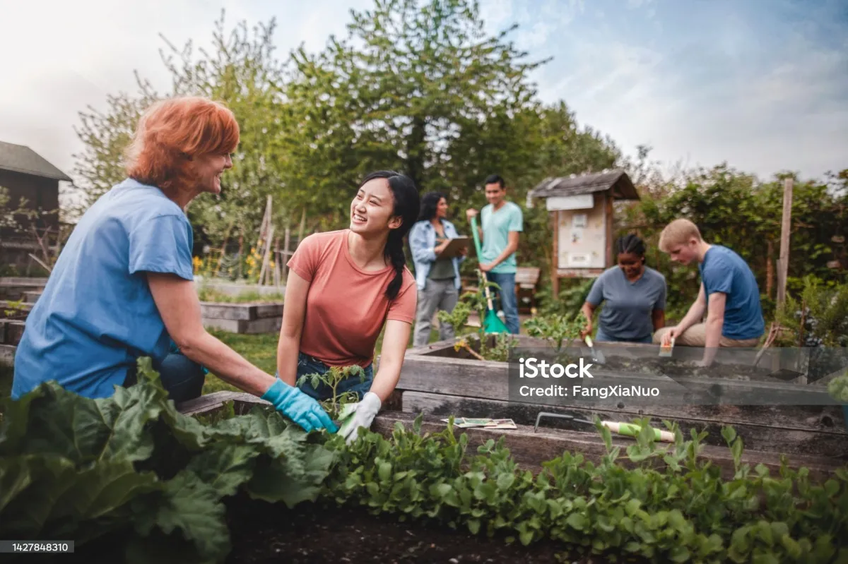 gärten umgestalten (2)