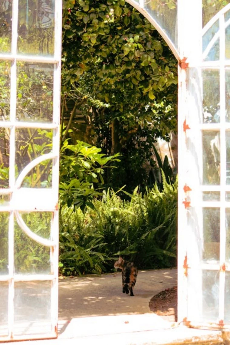 gartengestaltung mit pflanzen und gewächsen