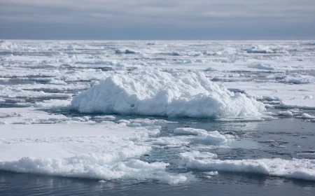 antarktis winzige algen heizen die eisschmelze an