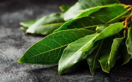 das 3 lorbeerblytter ritual fyr wohlstand im august