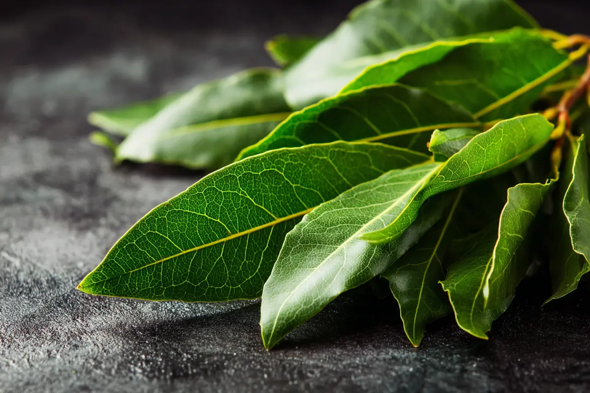das 3 lorbeerblytter ritual fyr wohlstand im august