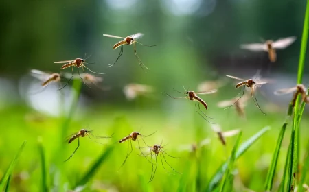 der jyger trick besser als jedes myckenspray