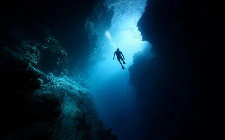 forscher entdecken 332 verborgene canyons unter der antarktis