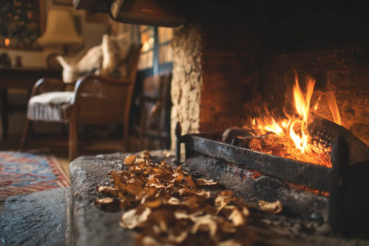 kamin reinigen dieser kychenabfall wirkt wahre wunder 3