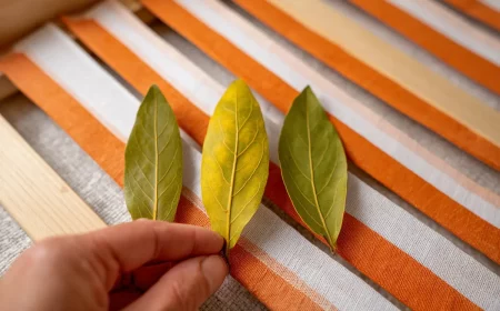 lorbeerblatt unters bett der simple trick fyr besseren schlaf