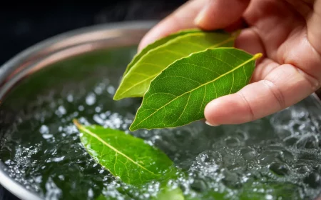 lorbeerblytter das steckt wirklich in dem kychenkraut