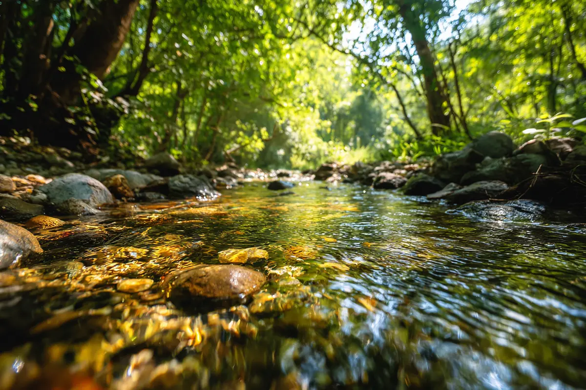 magische schwymme forscher fordern sofortiges verbot 2