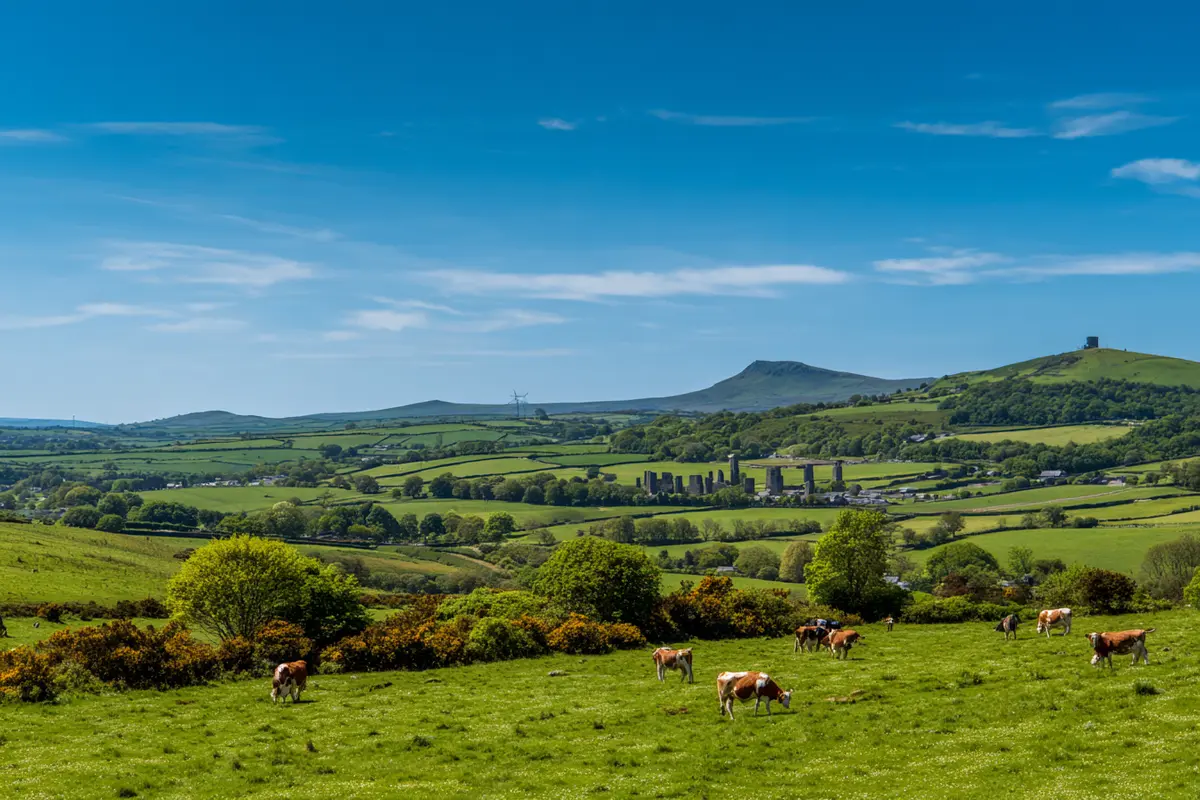 rytsel stonehenge ein kuhzahn verryt das baugeheimnis 3