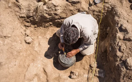 sensationsfund in georgien 18 millionen jahre alt