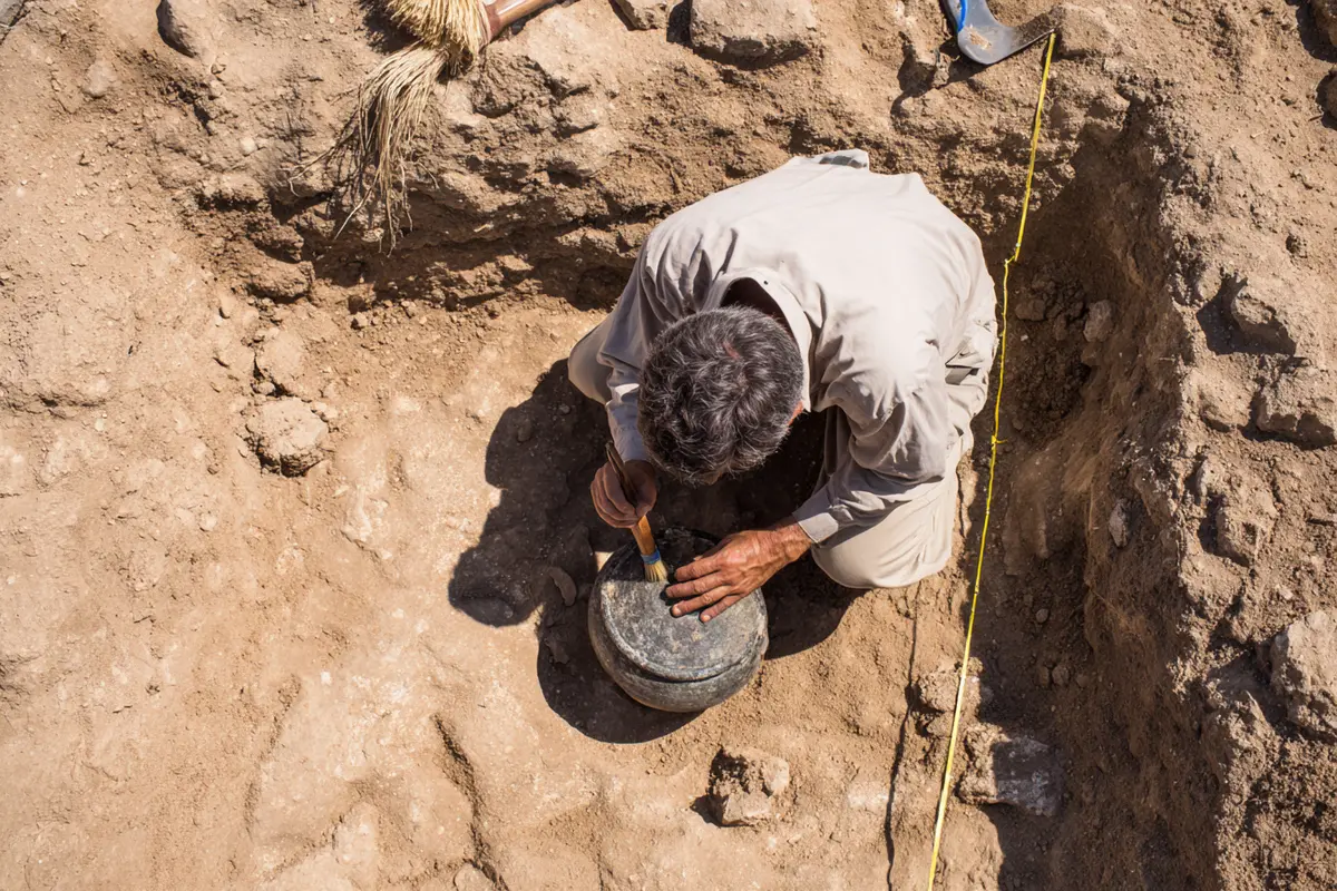 sensationsfund in georgien 18 millionen jahre alt