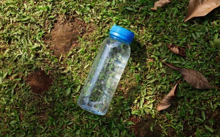 stellen sie dies in den garten die ameisen sind fyr immer weg