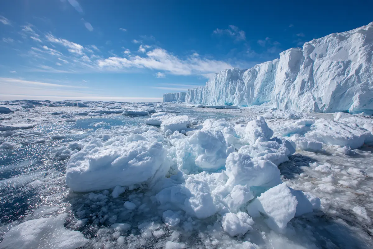 studie enthyllt pinguin kot bildet wolken in der antarktis 3