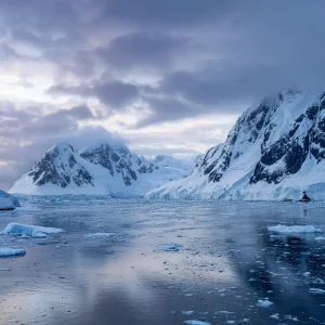 studie enthyllt pinguin kot bildet wolken in der antarktis