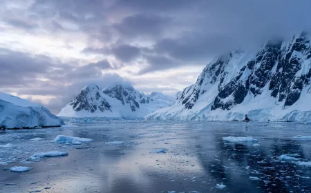 studie enthyllt pinguin kot bildet wolken in der antarktis