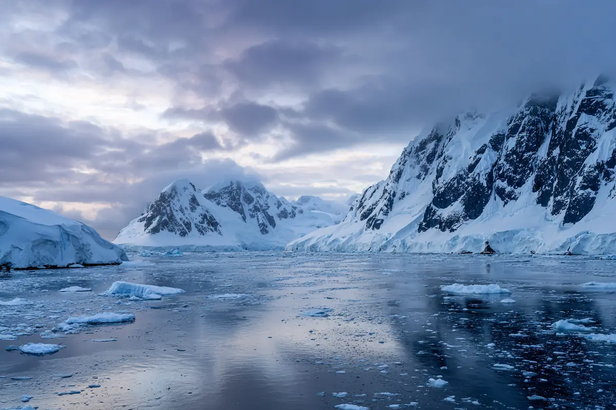 studie enthyllt pinguin kot bildet wolken in der antarktis