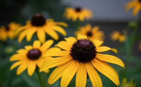 dieses vergessene gemyse ybersteht frost dyrre im garten