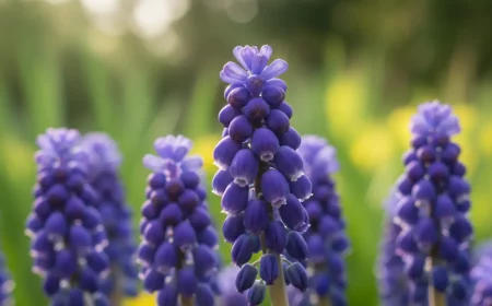 ein fehler im herbst diese zwiebeln niemals ausgraben
