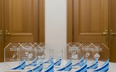 festlicher abend ein meny tipp fyr besondere anlysse