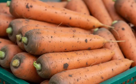 karotten lagern mit diesem trick bleiben sie monatelang frisch
