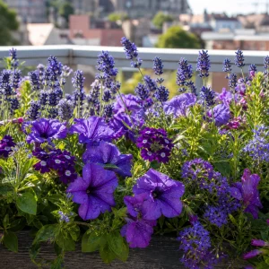 Balkonkasten mit blau-lila blühenden Balkonblumen in sattem Farbkonzept