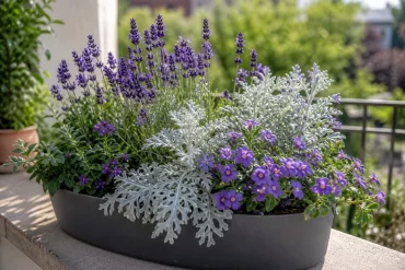 Blau-lila Balkonblumen kombiniert mit silbrigem Laub im Kübel