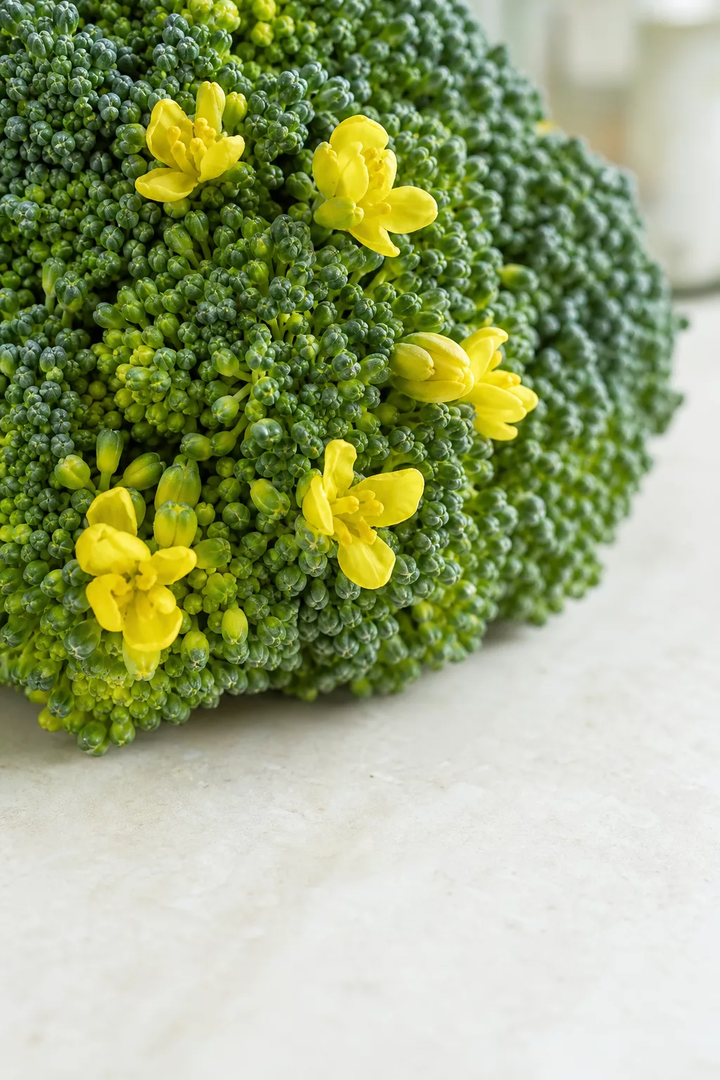 Brokkoli-Röschen mit aufgehenden gelben Blüten zwischen grünen Knospen