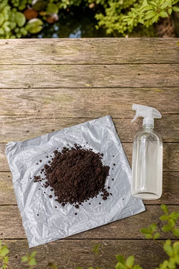 Kaffeesatz und Essigwasser als Hausmittel gegen Frösche im Teich