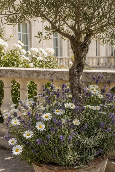 Weiße Margeriten und Lavendel vor mediterranem Balkongeländer