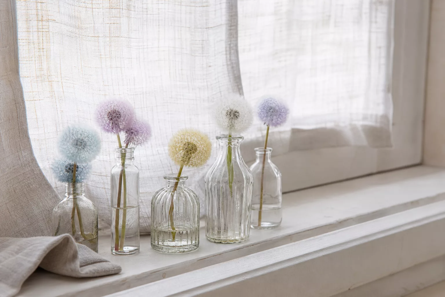 Bunte Pusteblumen-Deko in kleinen Vasen auf der Fensterbank