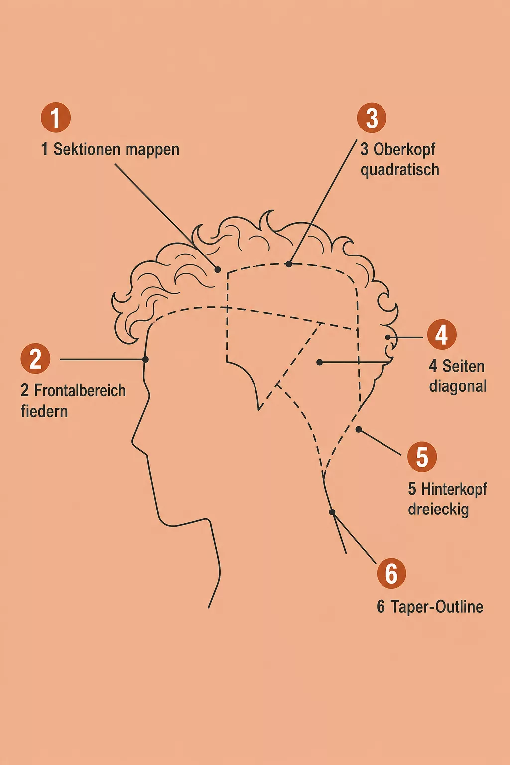 Schnitt-Schritte für den Taper Mullet als Grafik erklärt