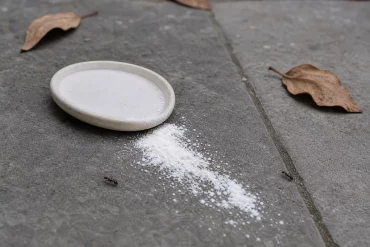 Umgekippte flache Ameisenfalle mit verschüttetem Pulver auf einer Terrasse als Beispiel für einen Fehler